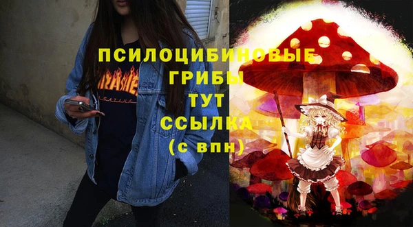 стаф Надым
