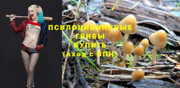 стаф Надым