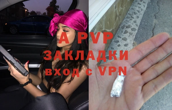 PSILOCYBIN Навашино
