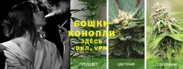 стаф Надым