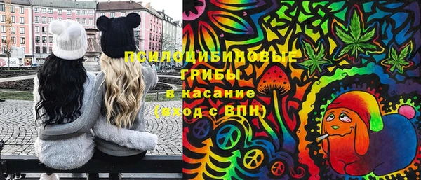 гидропоника Бикин