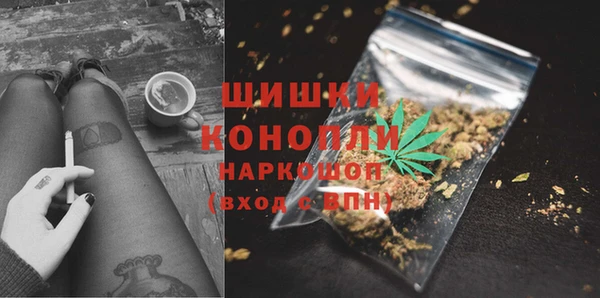 стаф Надым
