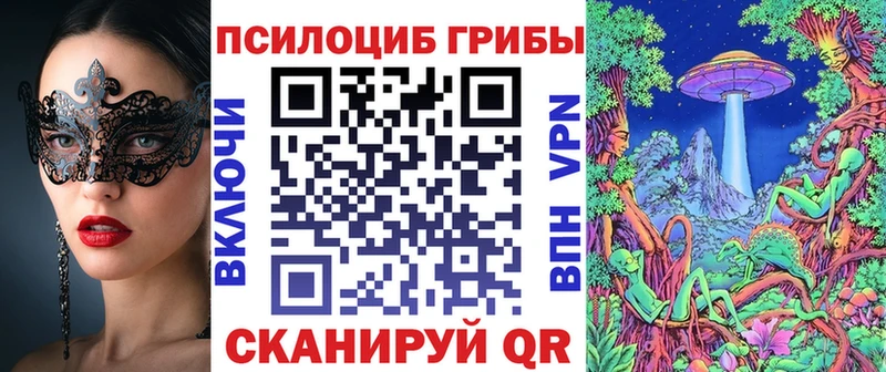 купить наркотики цена  Дорогобуж  Псилоцибиновые грибы мицелий 